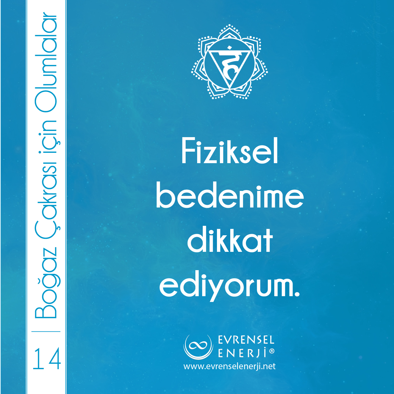 Boğaz Çakrası 14