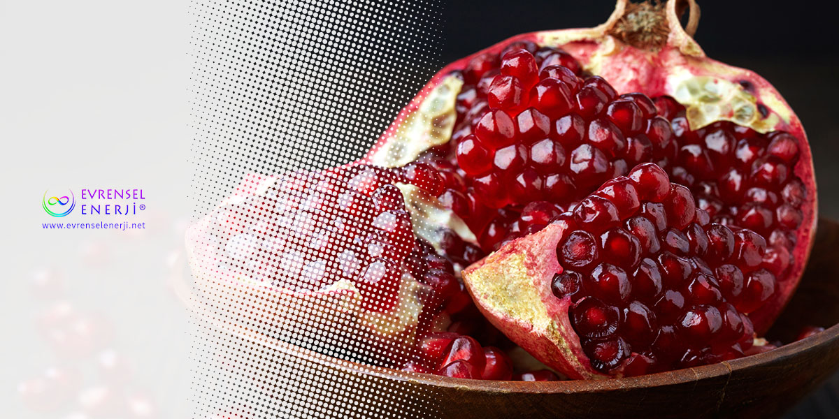 Bolluk ve Bereketi Kendimize Çekebilmek