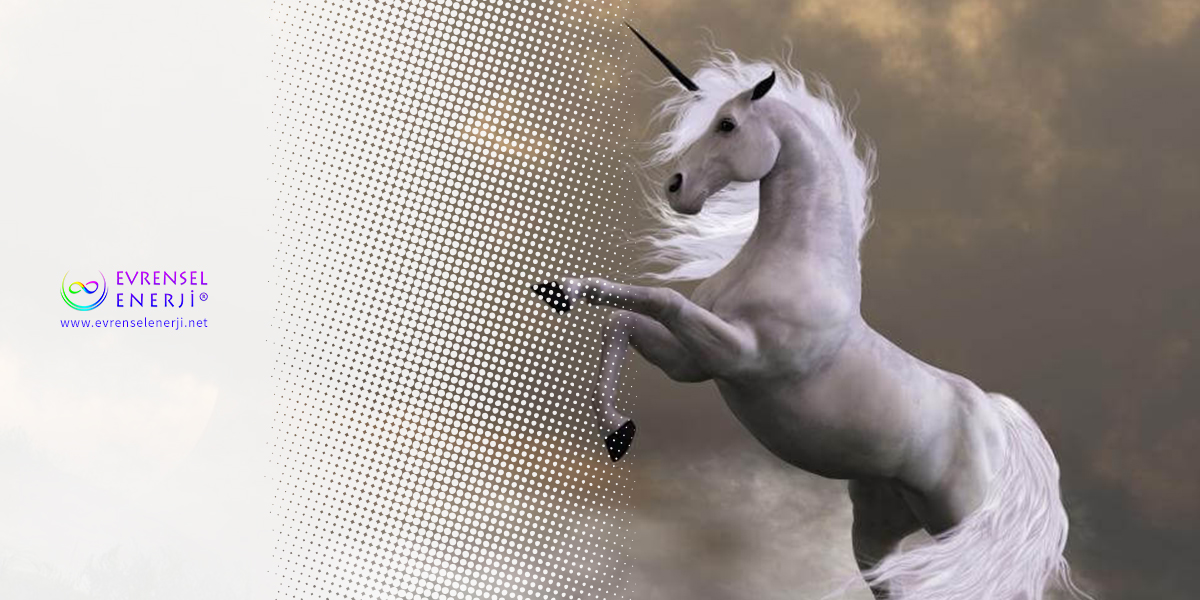Spirit Steed Reiki Güçlendirmesi